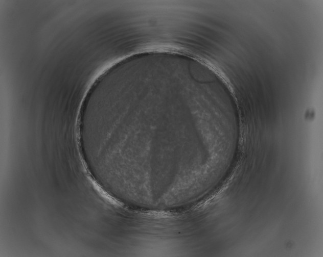 X0000090461037200708031236