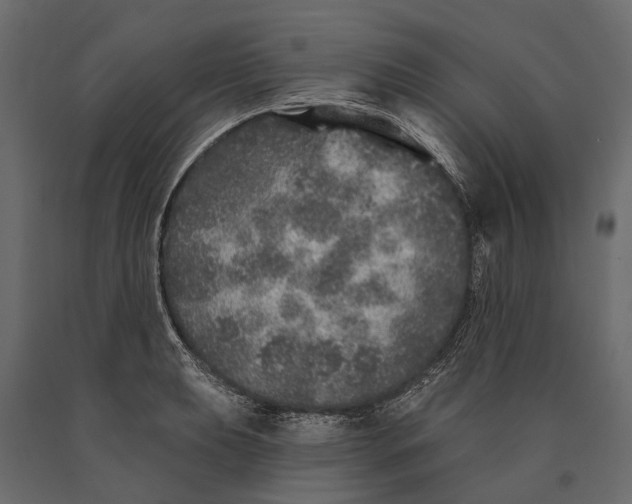 X0000090461039200708031237
