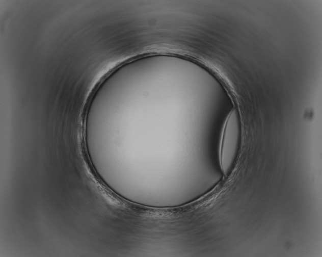 X0000090461040200708031237