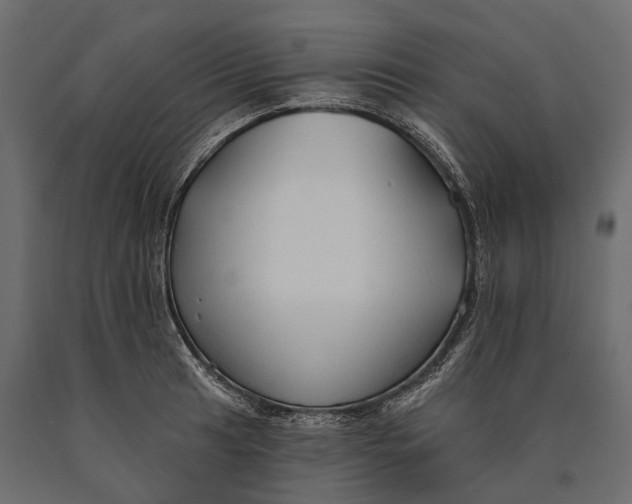 X0000090461041200708031237