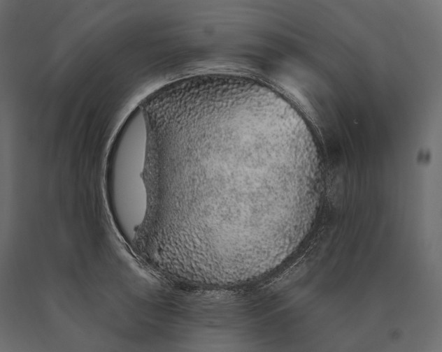 X0000090461043200708031237