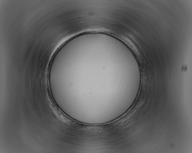 X0000090461044200708031237