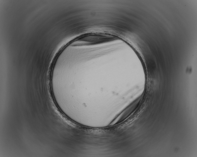 X0000090461045200708031237