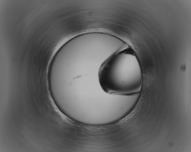 X0000090461046200708031237