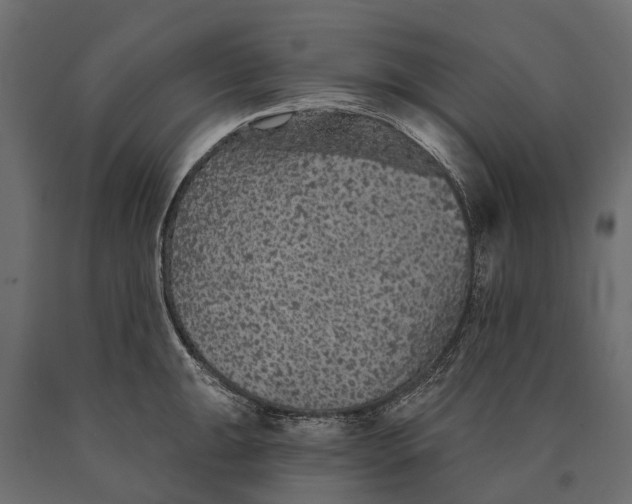 X0000090461047200708031237