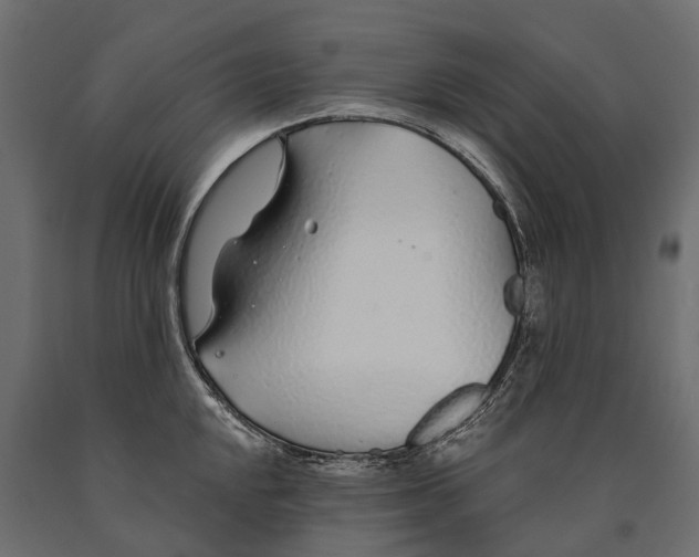 X0000090461048200708031237
