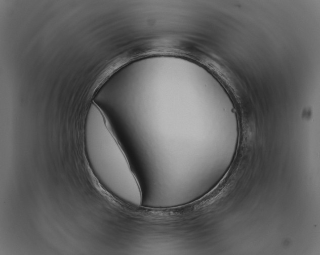 X0000090461049200708031237