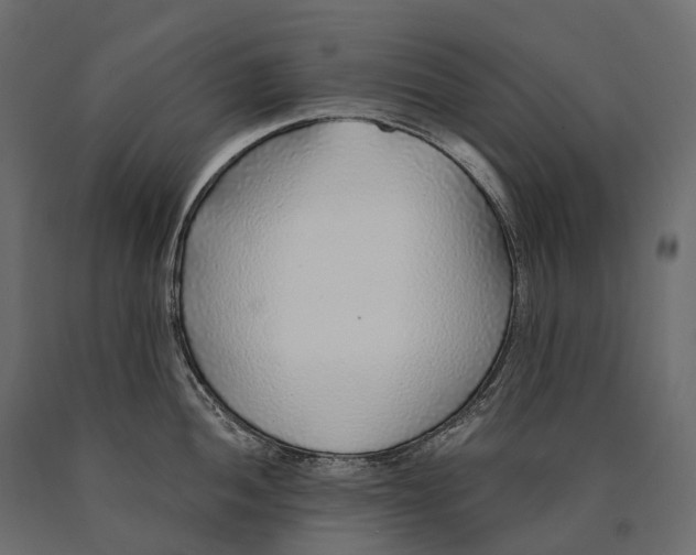 X0000090461052200708031237