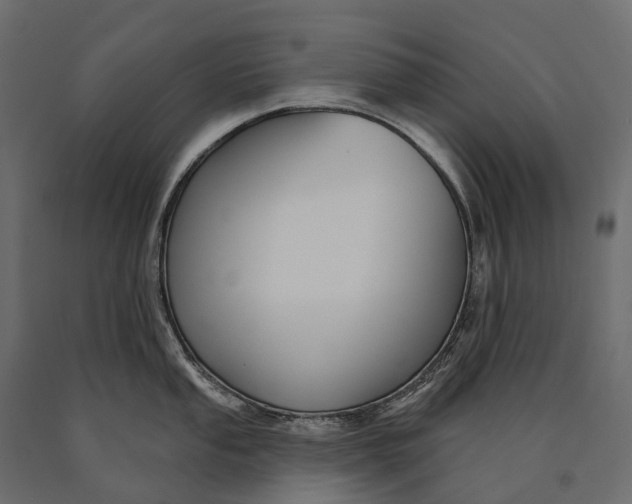 X0000090461053200708031237
