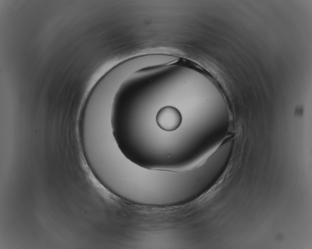 X0000090461054200708031237