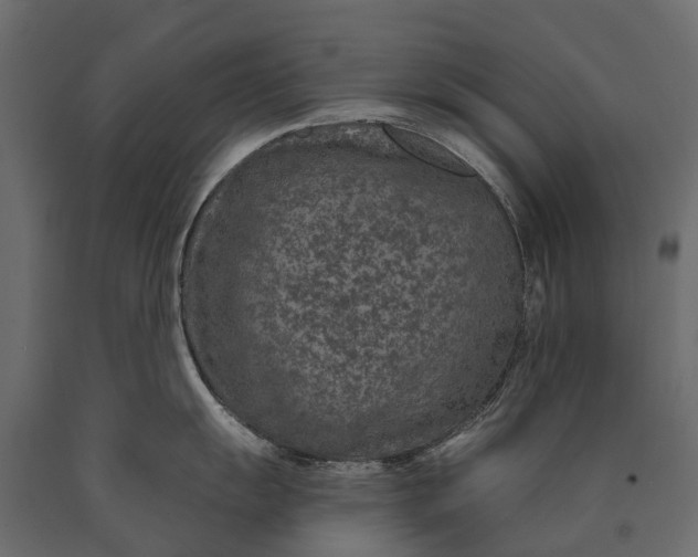 X0000090461055200708031237