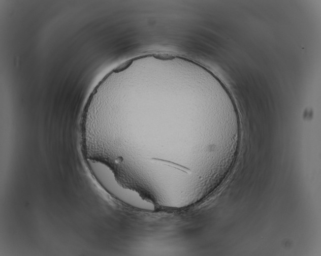 X0000090461056200708031237