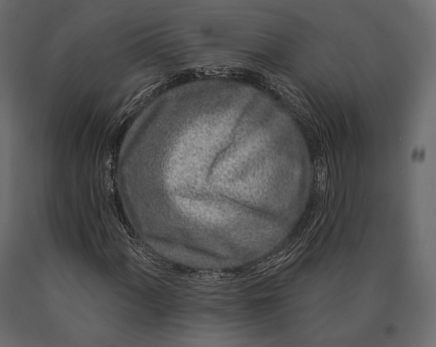 X0000090461060200708031236