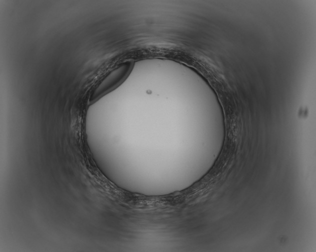 X0000090461061200708031236