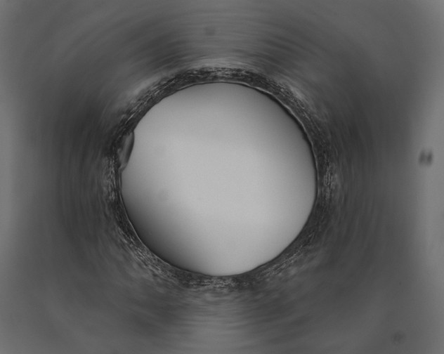X0000090461062200708031236