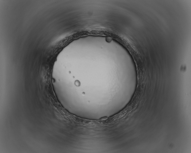 X0000090461063200708031236