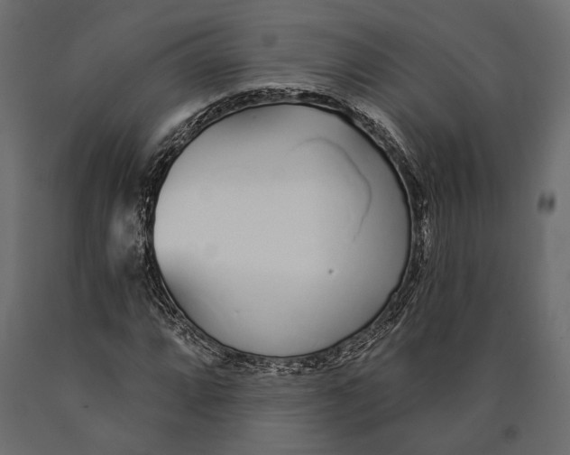 X0000090461064200708031236