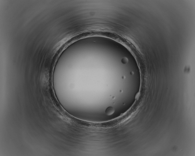 X0000090461065200708031236