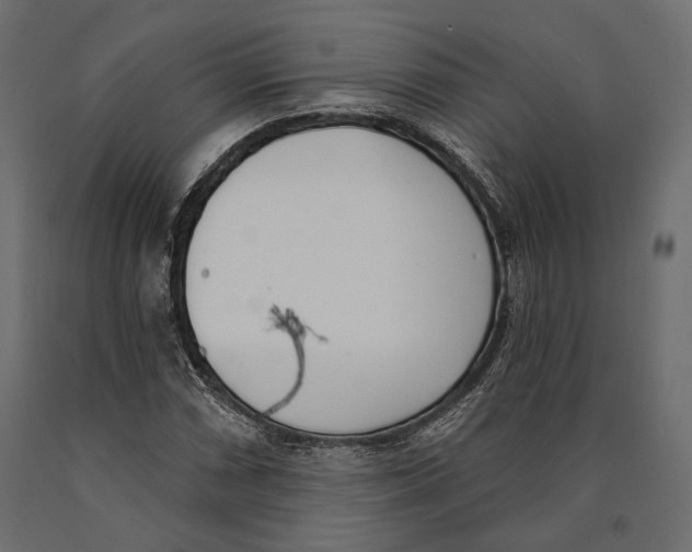 X0000090461066200708031236