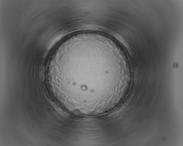 X0000090461067200708031236