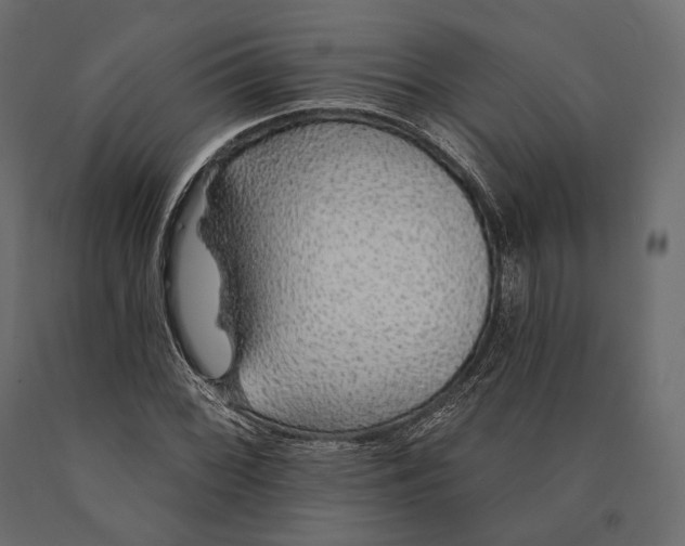X0000090461068200708031236
