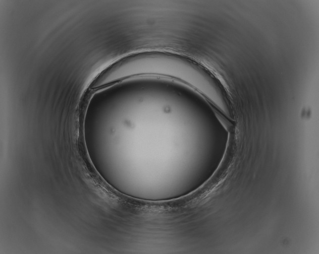 X0000090461069200708031236