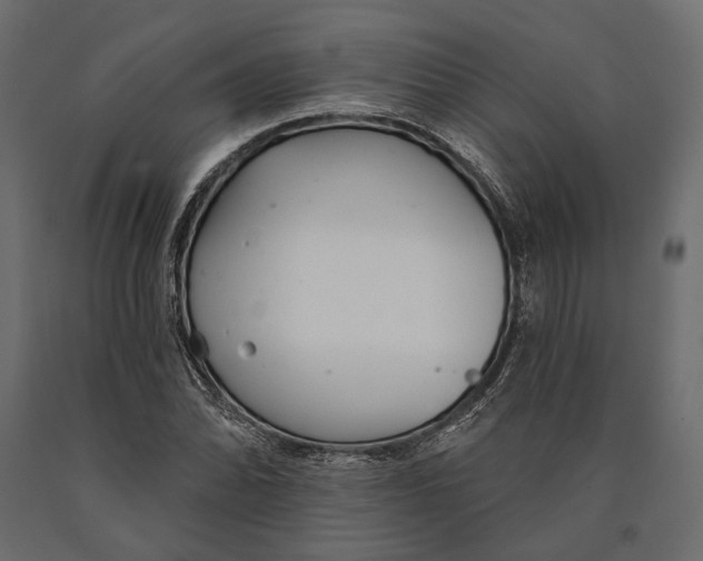 X0000090461070200708031236