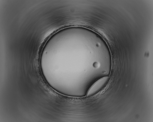 X0000090461071200708031236