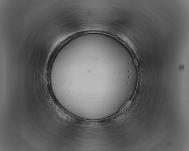 X0000090461072200708031236