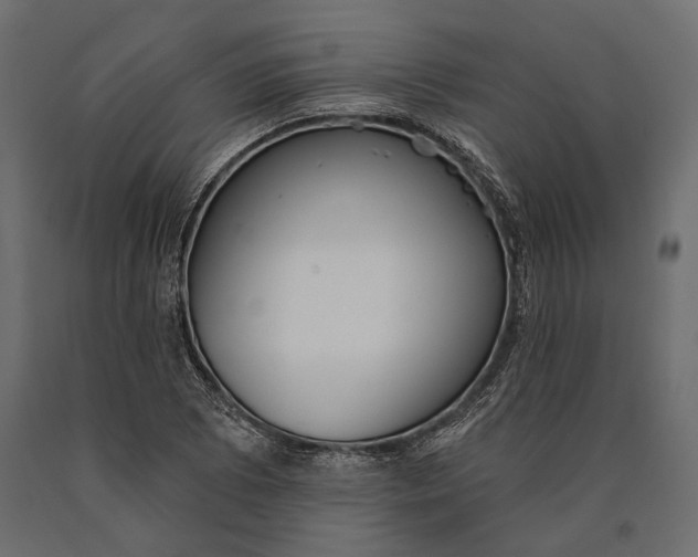 X0000090461073200708031236