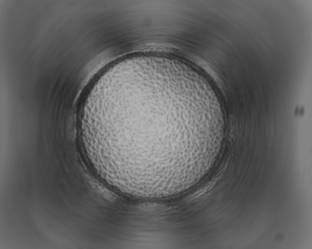 X0000090461075200708031236