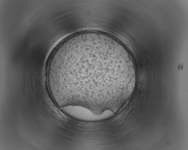 X0000090461076200708031236