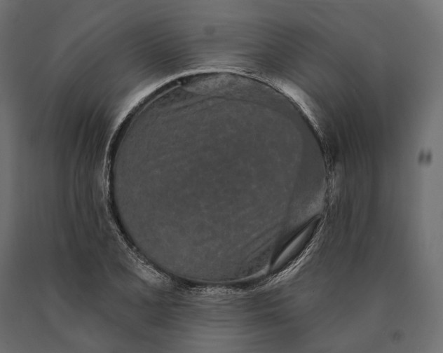 X0000090461077200708031236