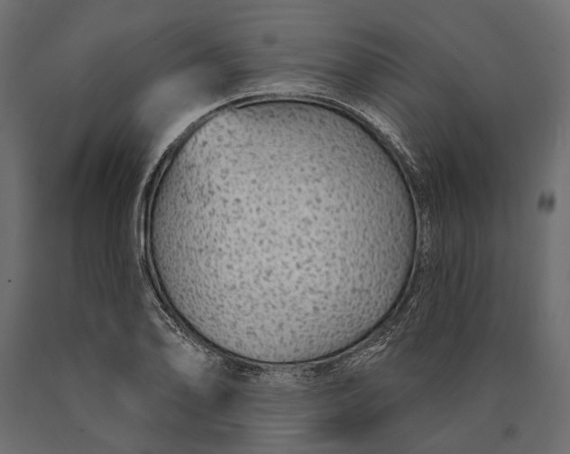 X0000090461078200708031236