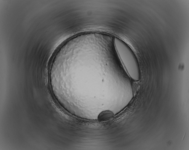 X0000090461079200708031236