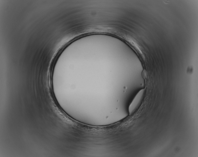 X0000090461080200708031236