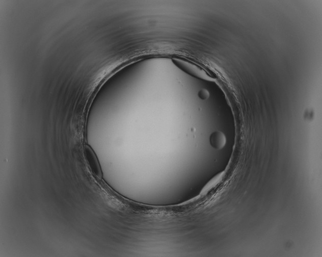 X0000090461081200708031236