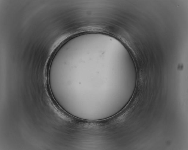 X0000090461082200708031236
