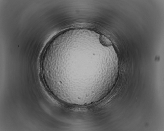 X0000090461083200708031236