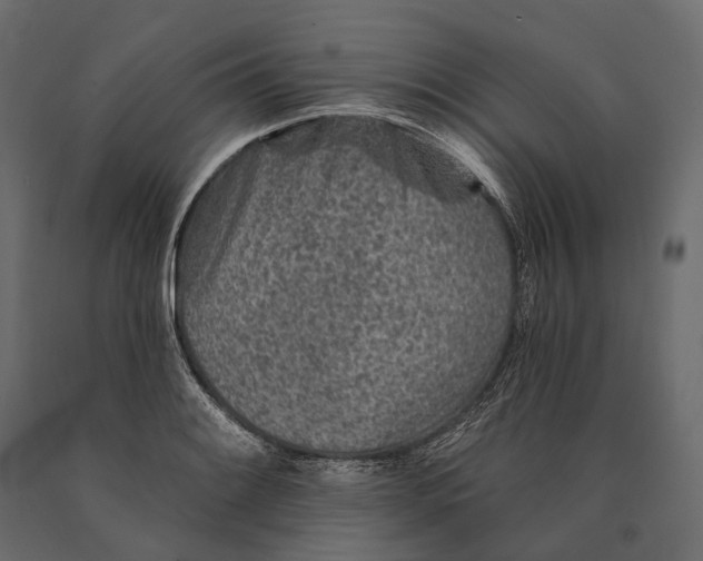 X0000090461084200708031236