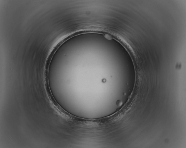 X0000090461085200708031236