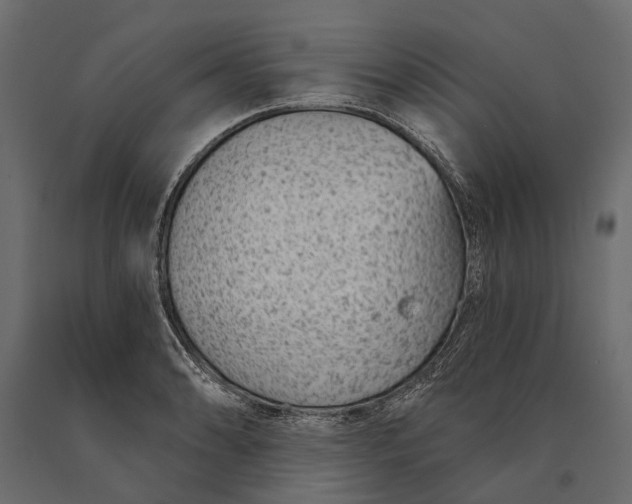 X0000090461086200708031236