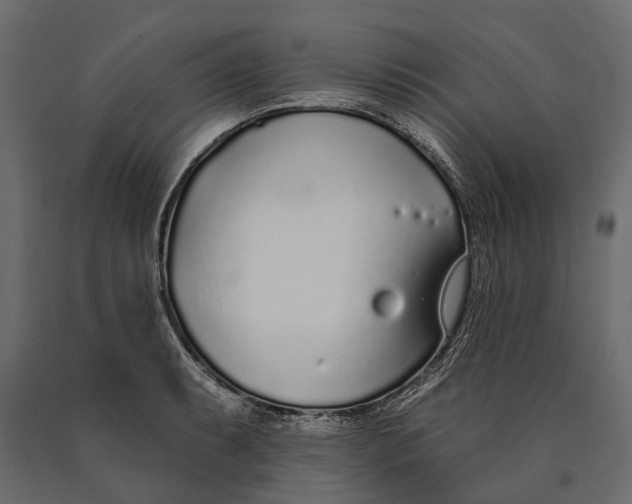 X0000090461087200708031236