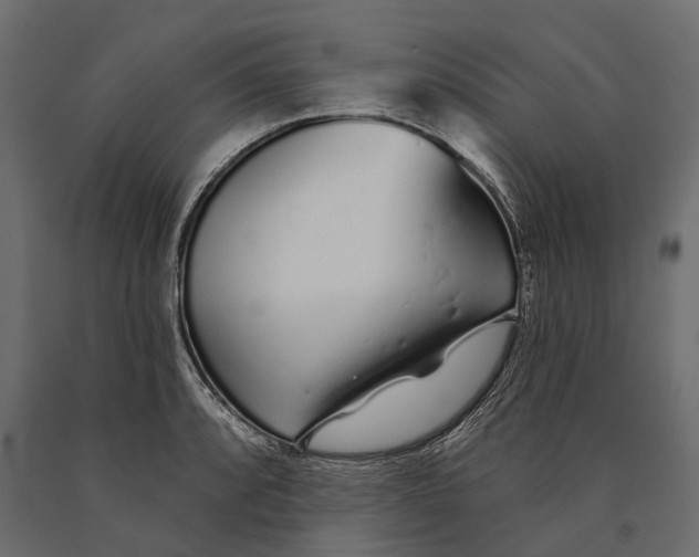 X0000090461088200708031235