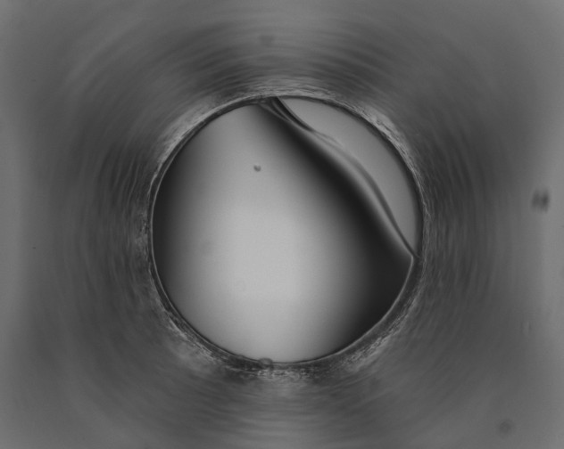 X0000090461089200708031235