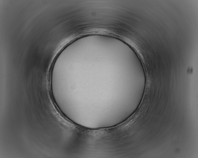 X0000090461090200708031235