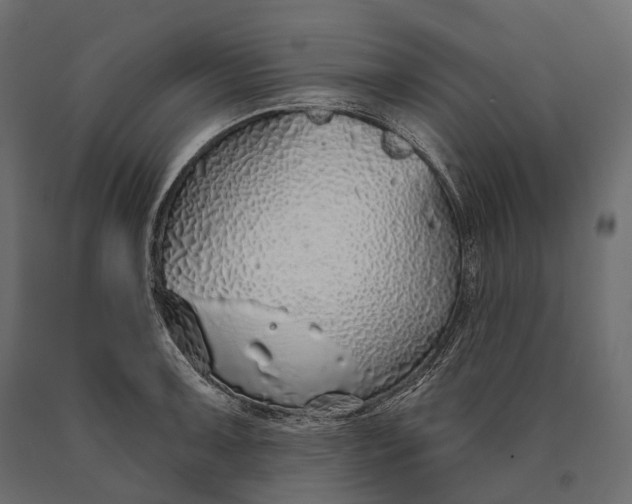 X0000090461091200708031235