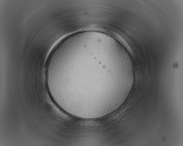 X0000090461092200708031235