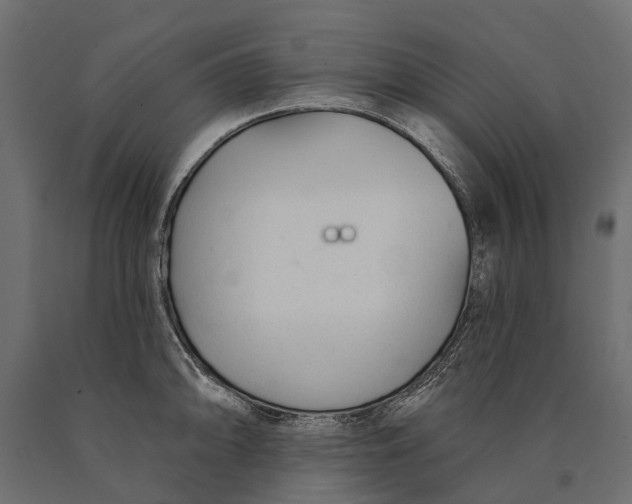 X0000090461094200708031235