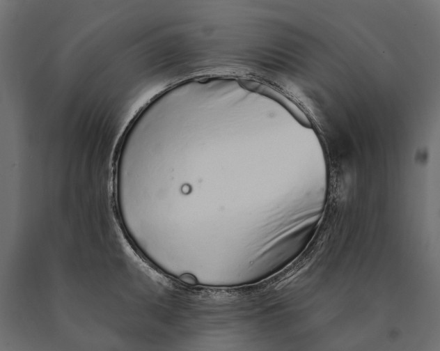 X0000090461095200708031235